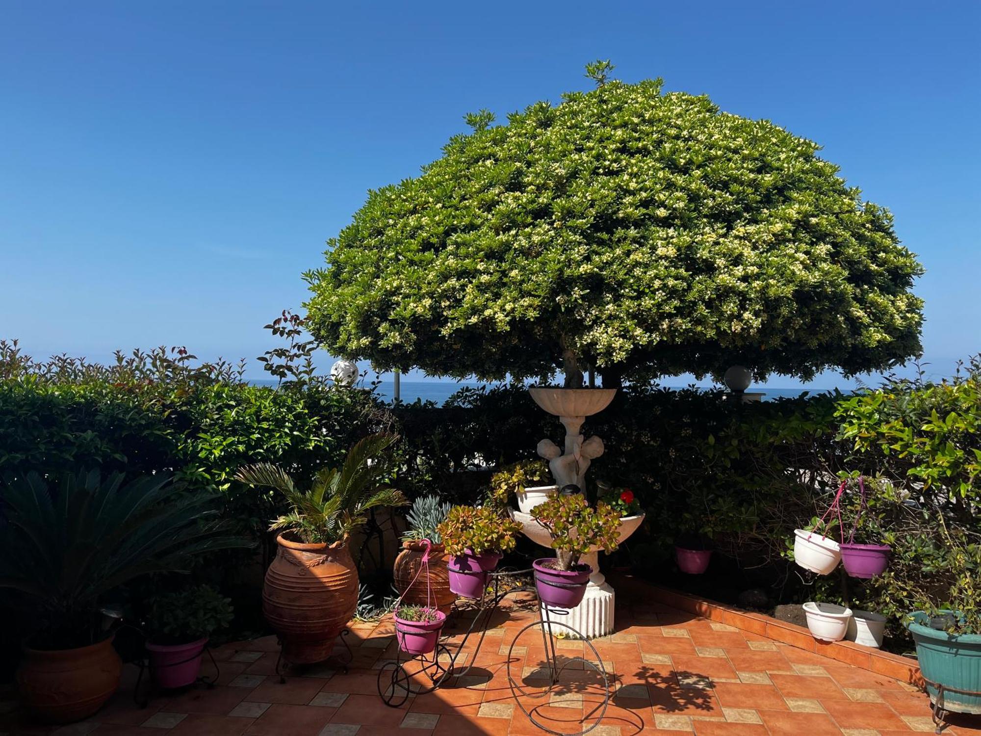 Family Sea & Garden View Apartment Preveza Eksteriør billede